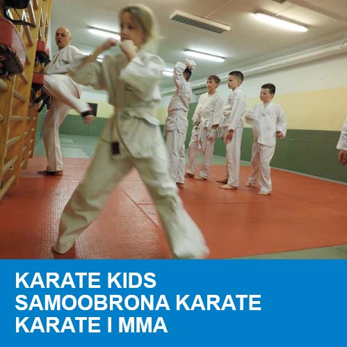 Dariusz Majchrzak - Karate Kids, Samoobrona Karate, Karate i MMA